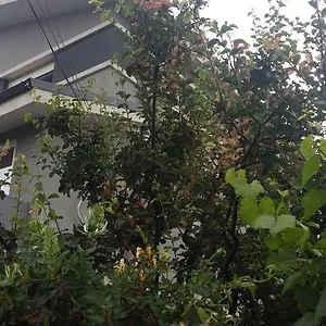 Hello Bucureşti